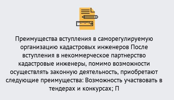 Почему нужно обратиться к нам? Махачкала Что дает допуск СРО кадастровых инженеров?