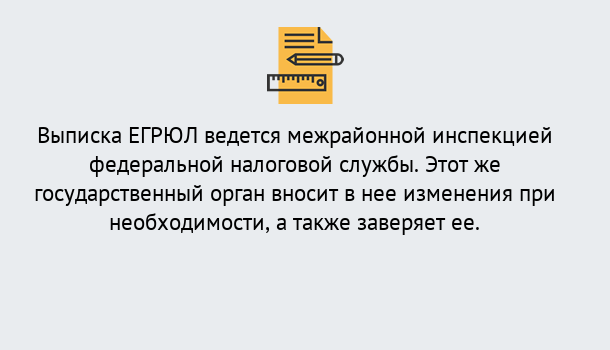 Почему нужно обратиться к нам? Махачкала Выписка ЕГРЮЛ в Махачкала ?