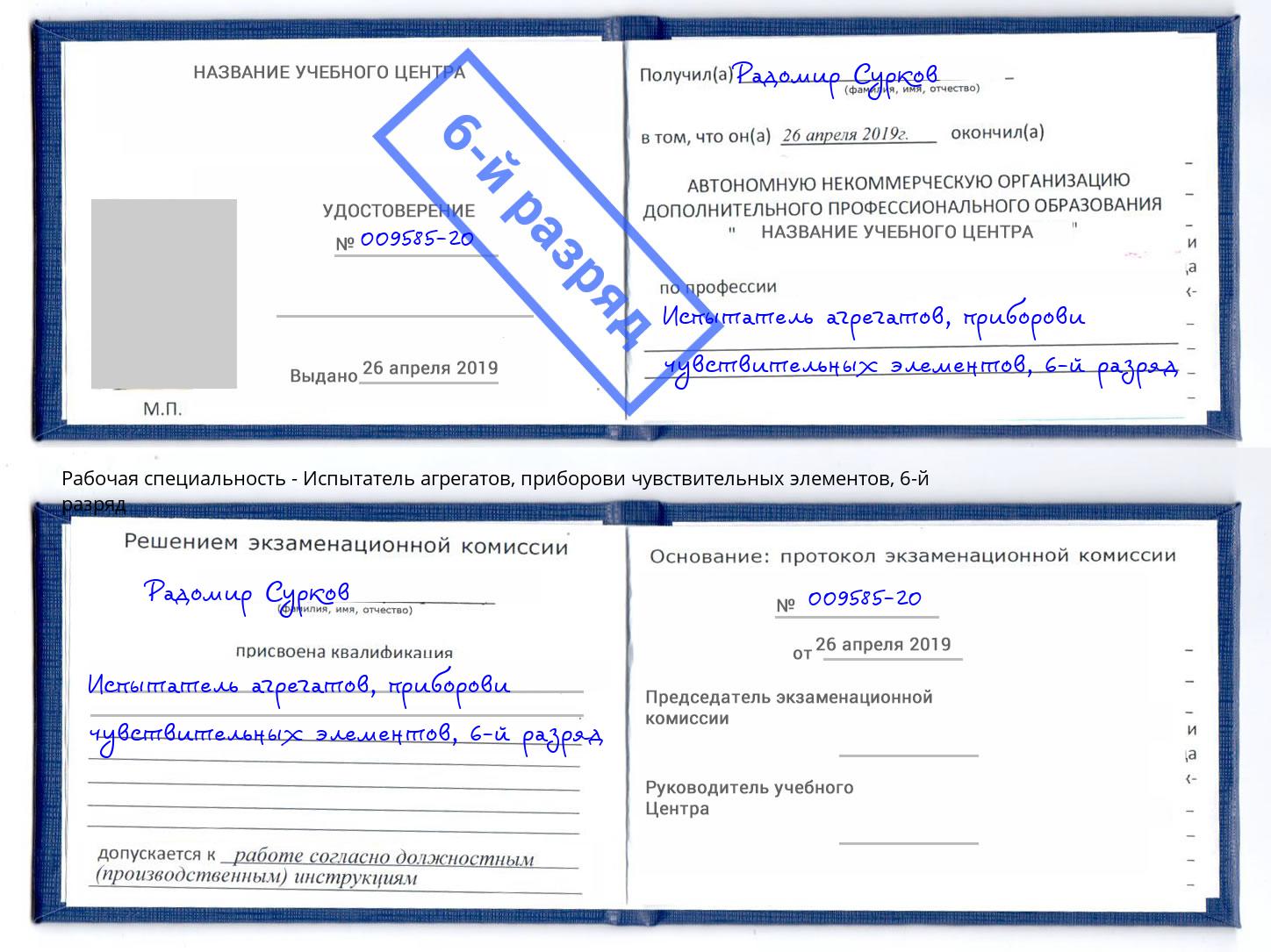 корочка 6-й разряд Испытатель агрегатов, приборови чувствительных элементов Махачкала