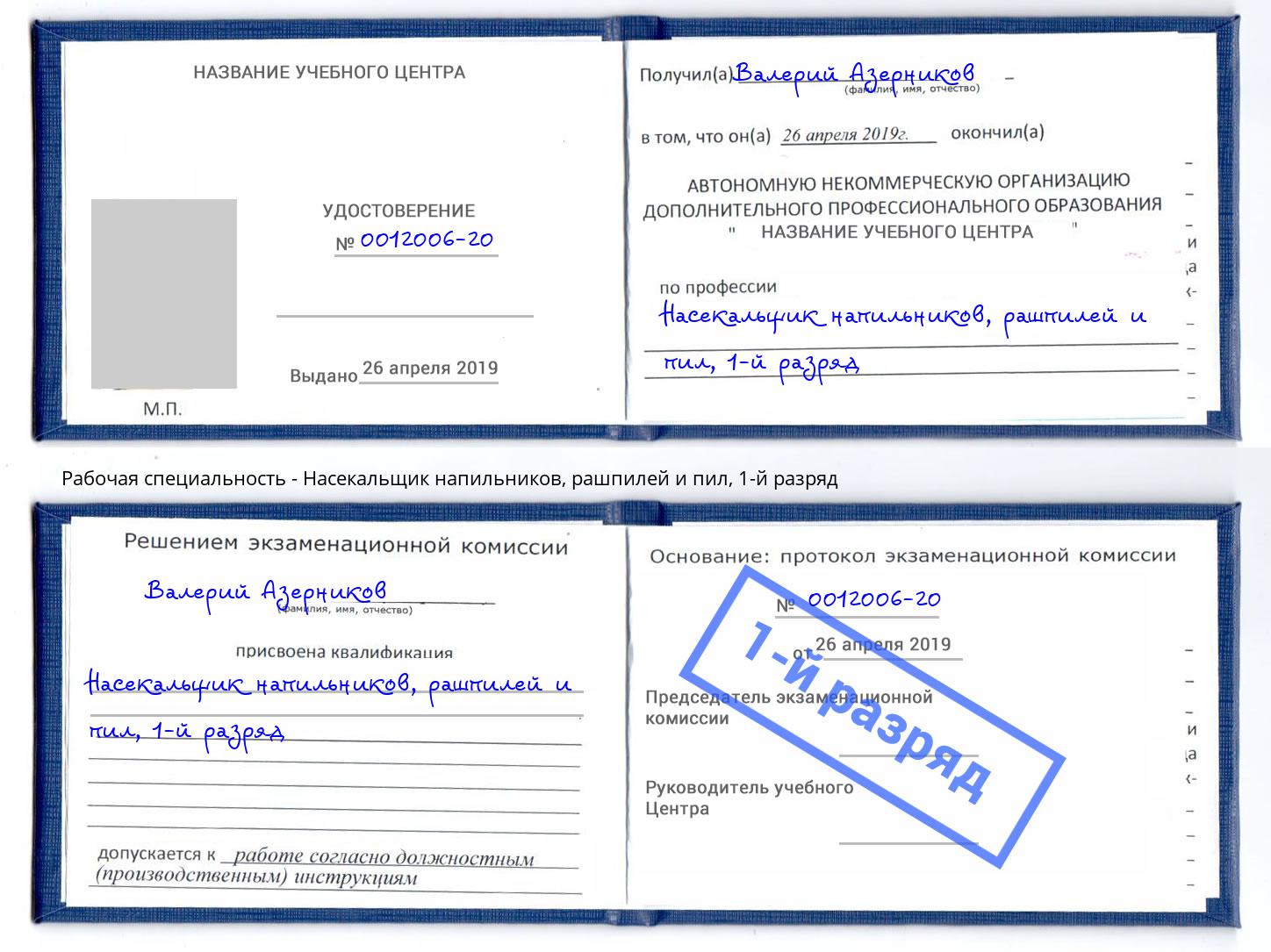 корочка 1-й разряд Насекальщик напильников, рашпилей и пил Махачкала