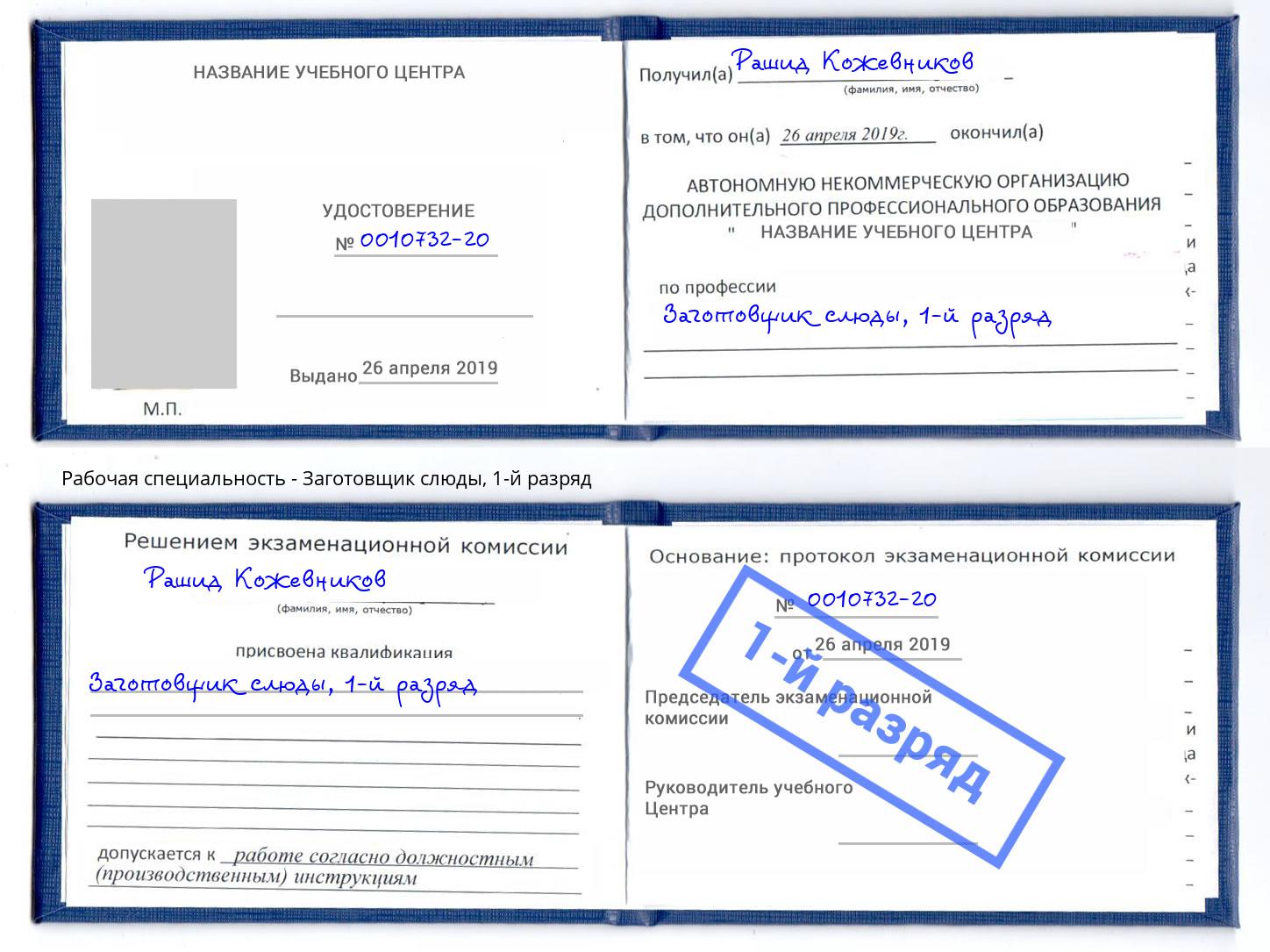 корочка 1-й разряд Заготовщик слюды Махачкала